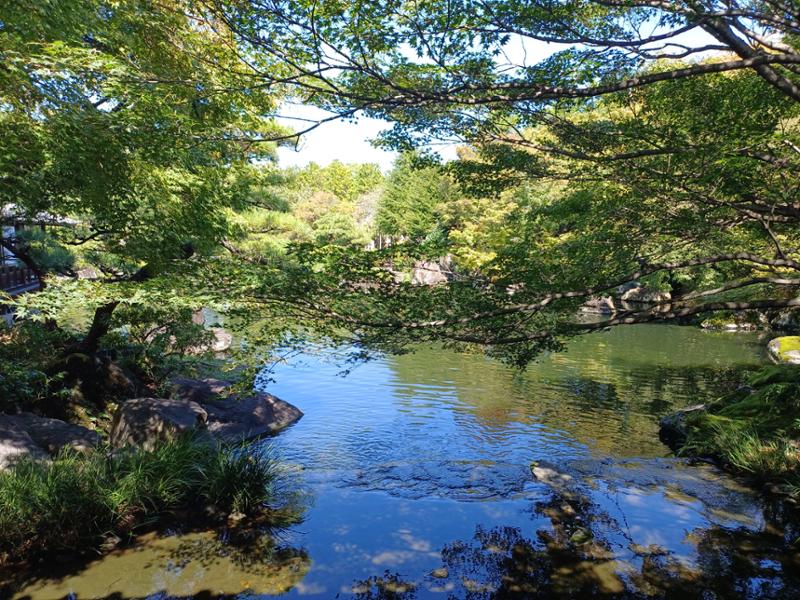 Japan Uncovered