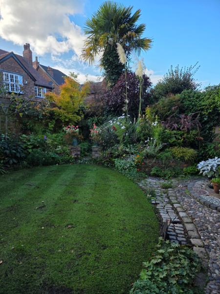 STATEMENT: Front Lawn 20KG