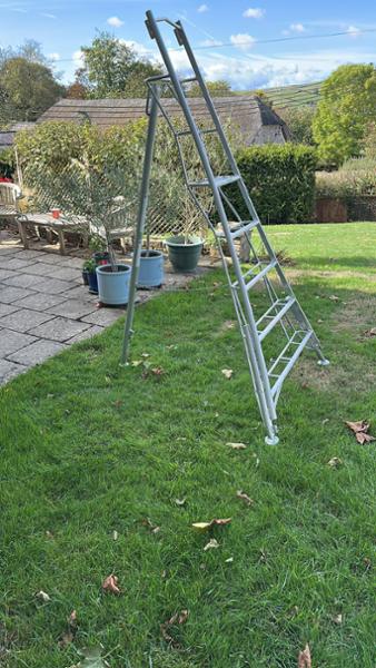 BPS 3 Leg Trade Master Tripod Ladder