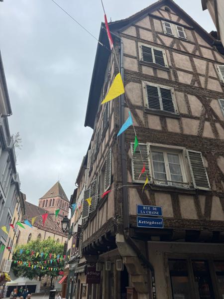 Castles along The Rhine