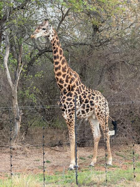 South Africa & Victoria Falls Tour