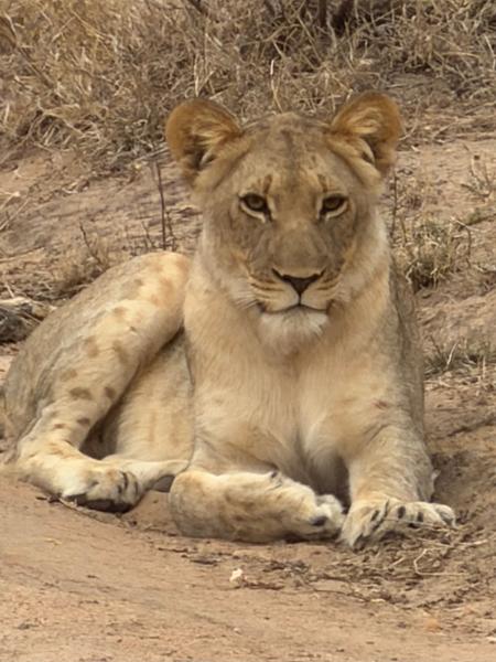 South Africa & Victoria Falls Tour