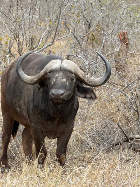 South Africa & Victoria Falls Tour