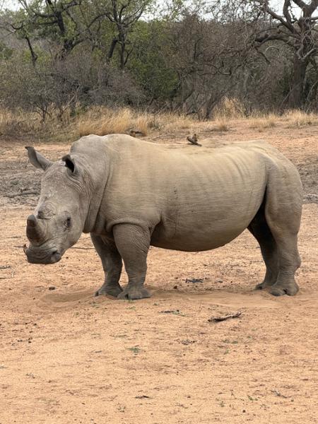 South Africa & Victoria Falls Tour