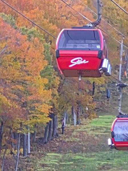New Englands Fall Foliage
