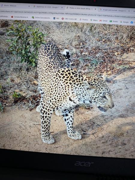 South Africa & Victoria Falls Tour