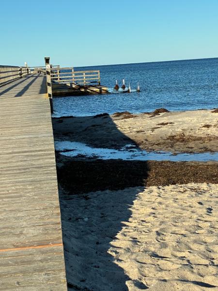 Kobæk Strand