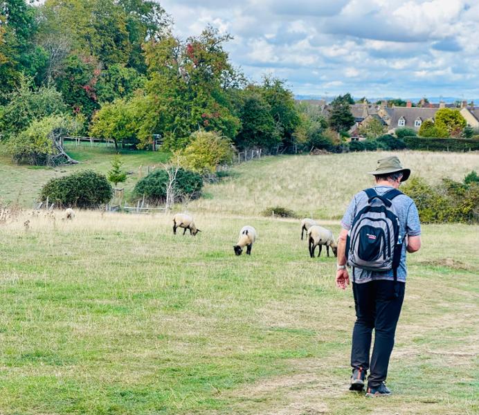 Walk the Cotswolds - Self-Guided - Short