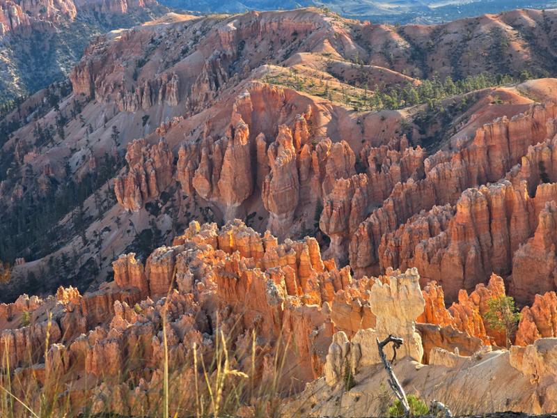 Utah's Mighty Five and the Rockies on 09/28/2026
