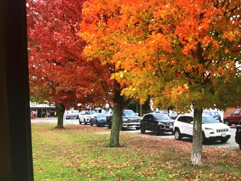 New Englands Fall Foliage