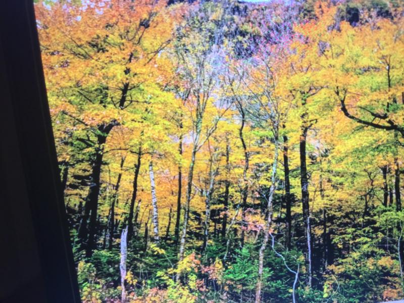 New Englands Fall Foliage