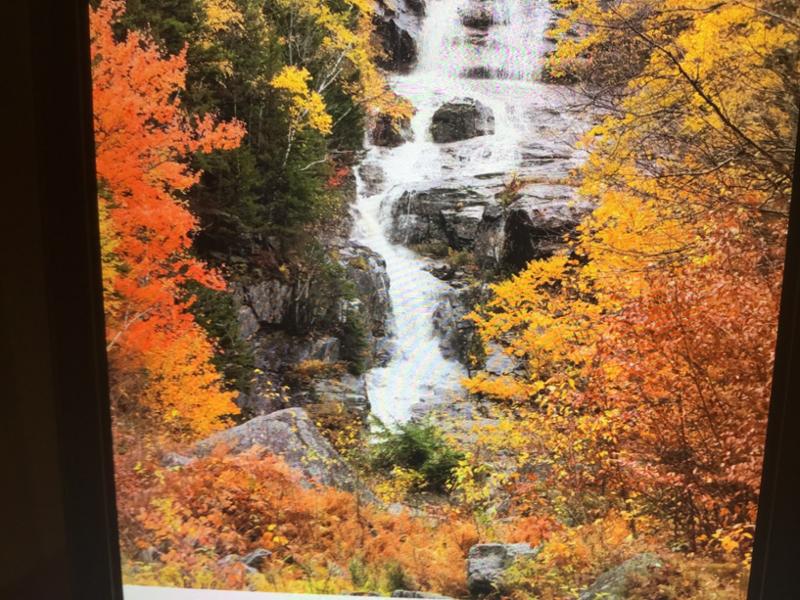 New Englands Fall Foliage