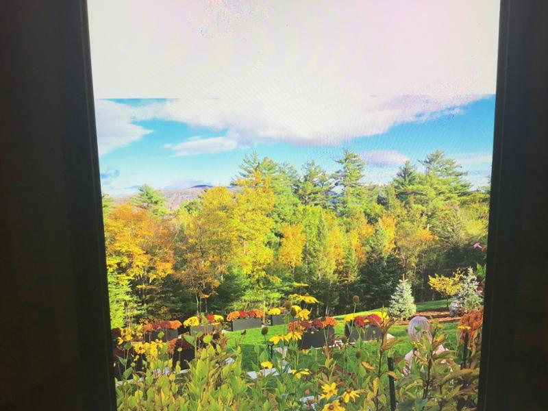 New Englands Fall Foliage