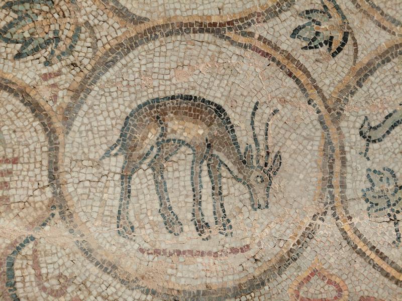 Ancient Algeria and the Sahara Desert