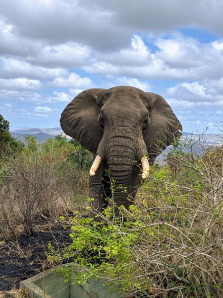 South Africa & Victoria Falls Tour