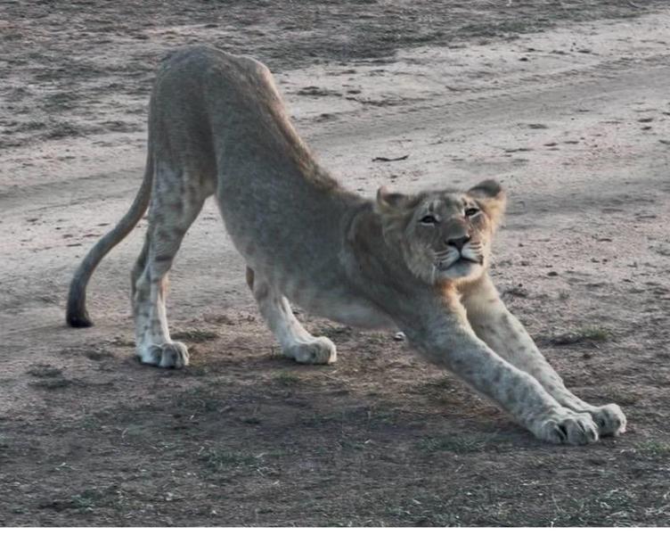 South Africa & Victoria Falls Tour
