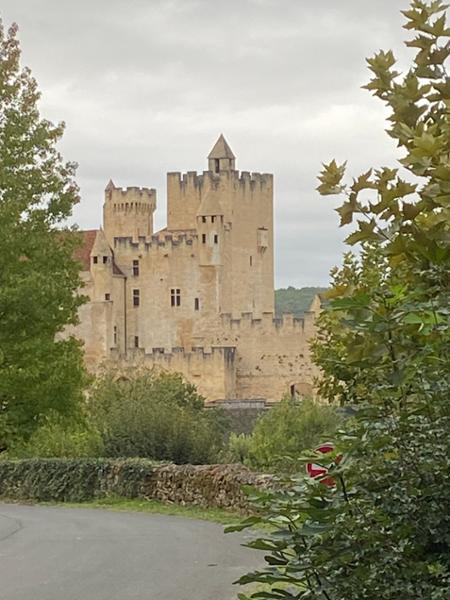 Dordogne Albi and Carcassonne