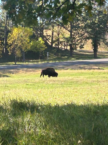 Discover America's Cowboy Country on 10/01/2026