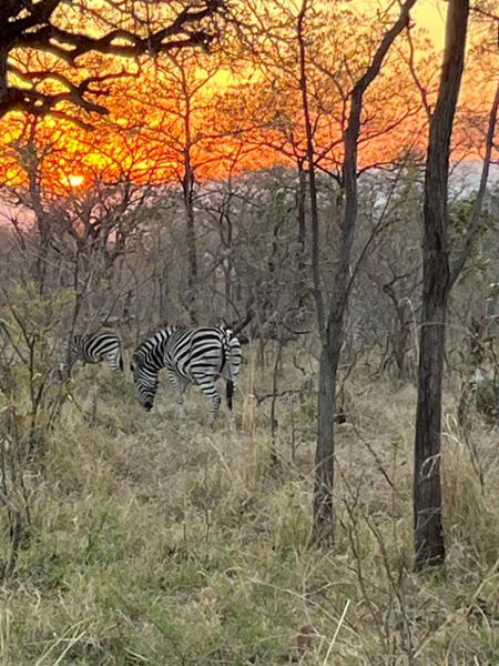 South Africa & Victoria Falls Tour