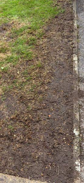 IMPRESS: Clay Master Lawn Seed-20kg