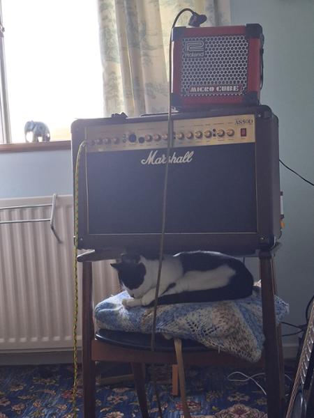 Marshall AS50D Acoustic Guitar Amp