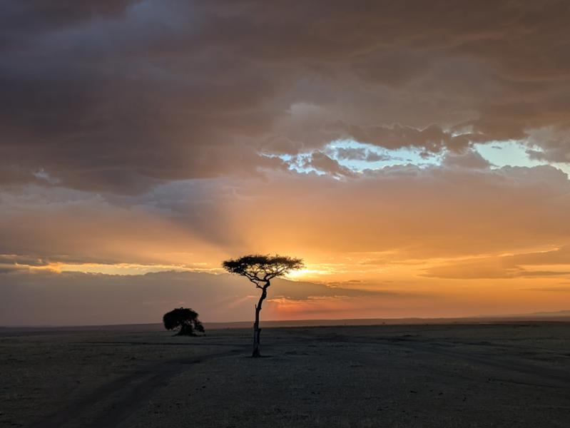 Plains of Africa Kenya Wildlife Safari on 09/28/2026