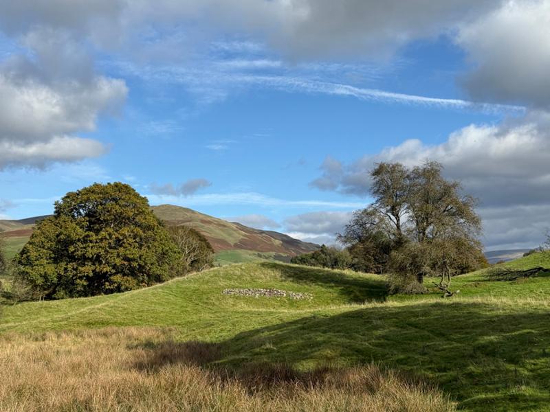 Your holiday: Western Yorkshire Dales  - Guided Walking for Solos