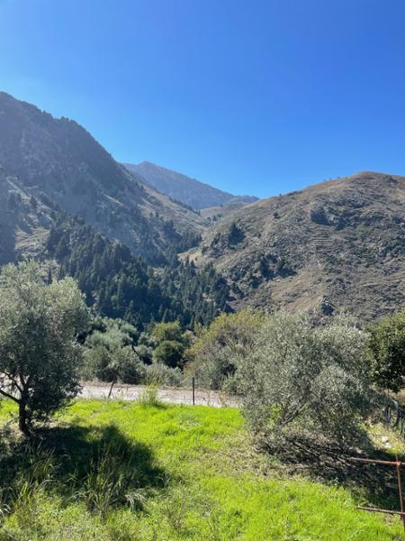 Your holiday: Crete Guided Walking