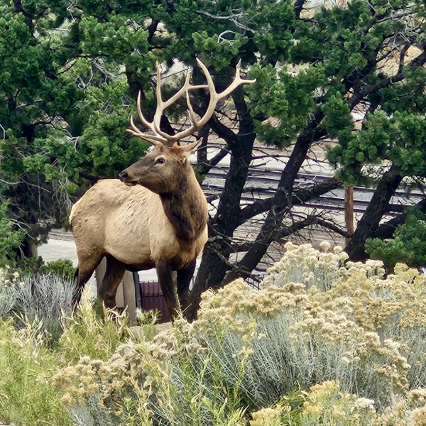 Wonders of the American West