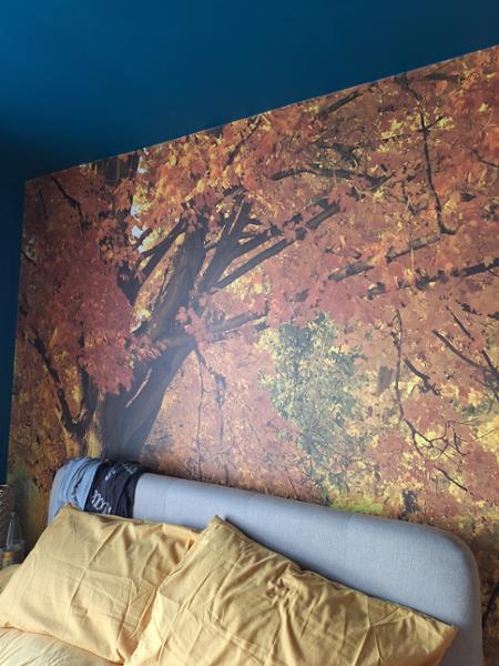 Customer Image