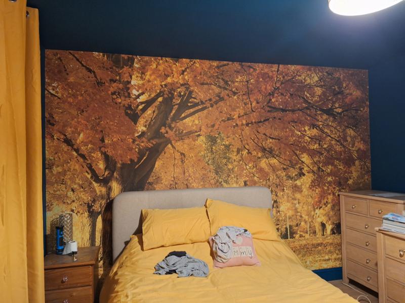 Customer Image