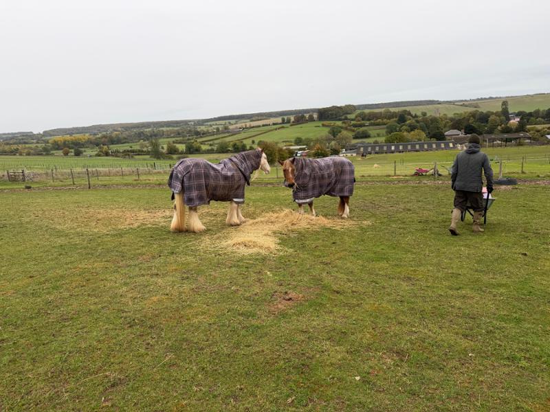 LeMieux Arika Check 100g Turnout Rug Cocoa