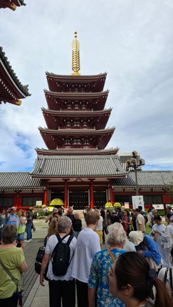 Japan Uncovered