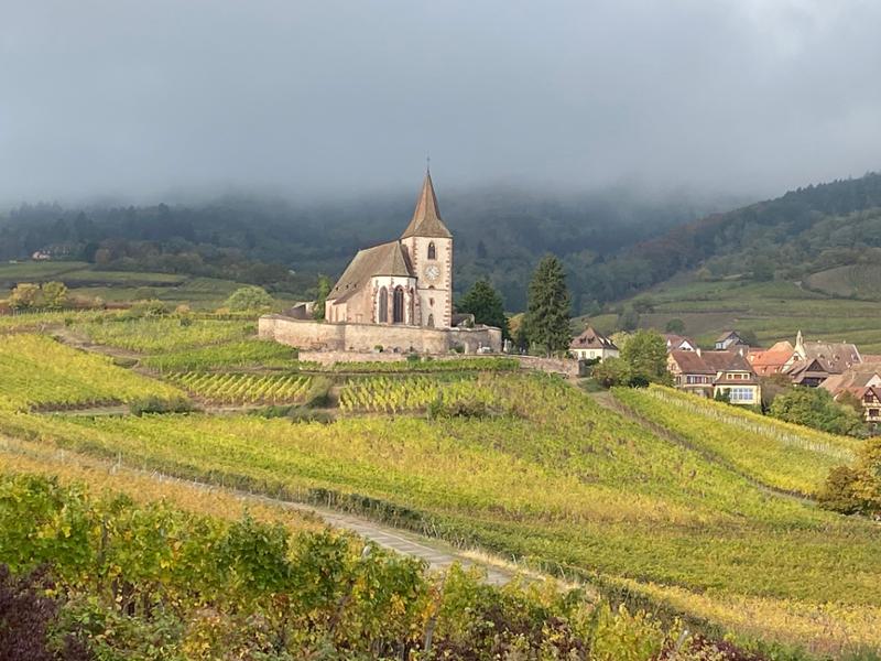 Alsace Photography Tour - Villages, Castles and Vineyards