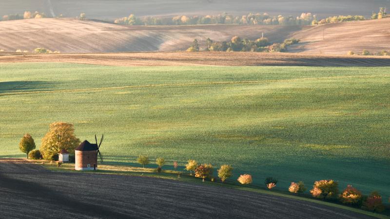Autumn in Moravia - A Photography Tour