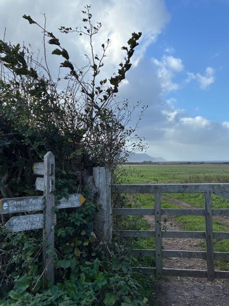 Your holiday: Exmoor  - Self Guided Walking
