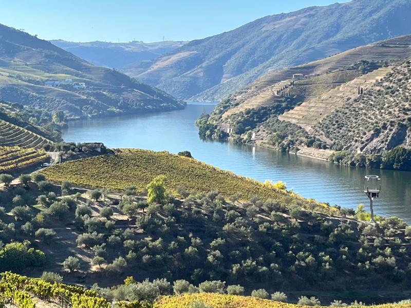 Douro, Porto & Salamanca River Cruise