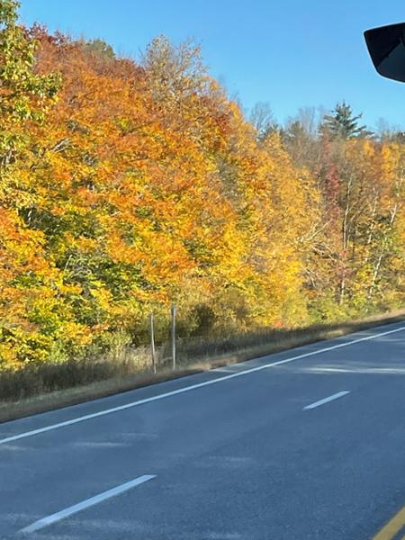 New Englands Fall Foliage