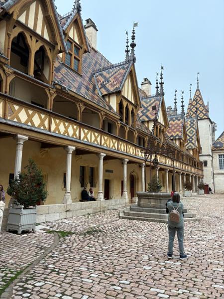 Burgundy, the River Rhone & Provence Cruise