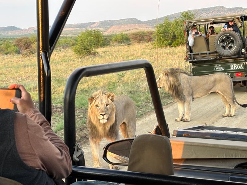 Exploring South Africa, Victoria Falls and Botswana on 10/02/2026