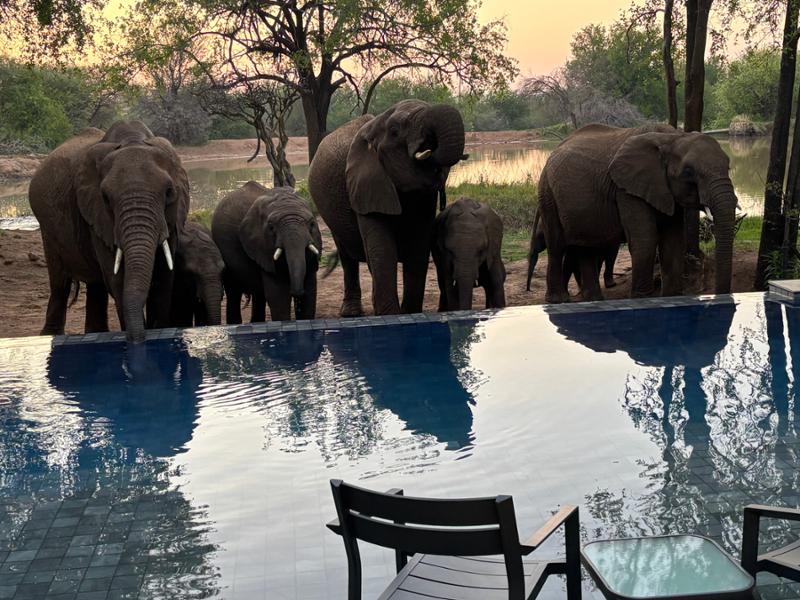 Exploring South Africa, Victoria Falls and Botswana on 10/02/2026
