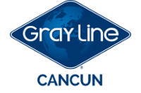 Merchant Logo