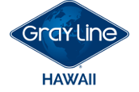 Merchant Logo
