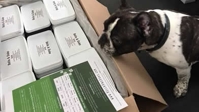 bella and duke treats