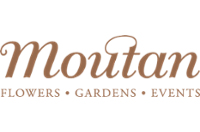 Merchant Logo
