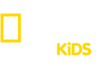 Merchant Logo