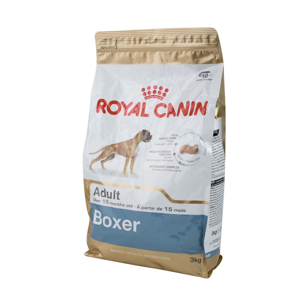 royal canin boxer 26